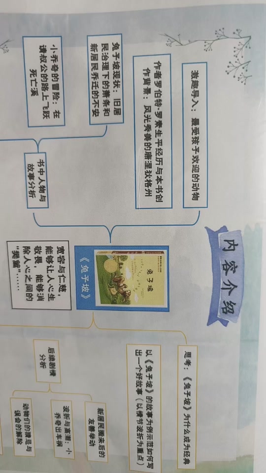 兔子坡思维导图手抄报 - 抖音