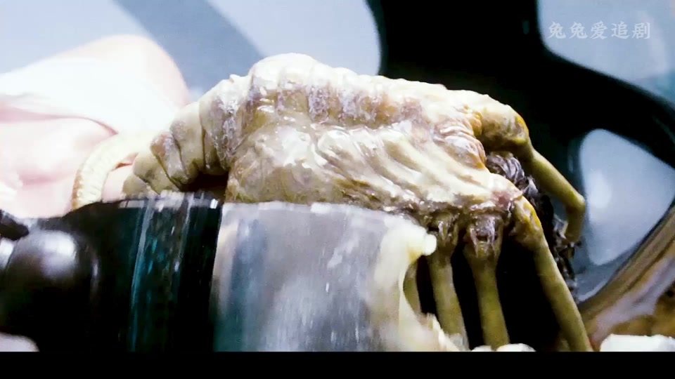 异形虫在美女肚子里电影