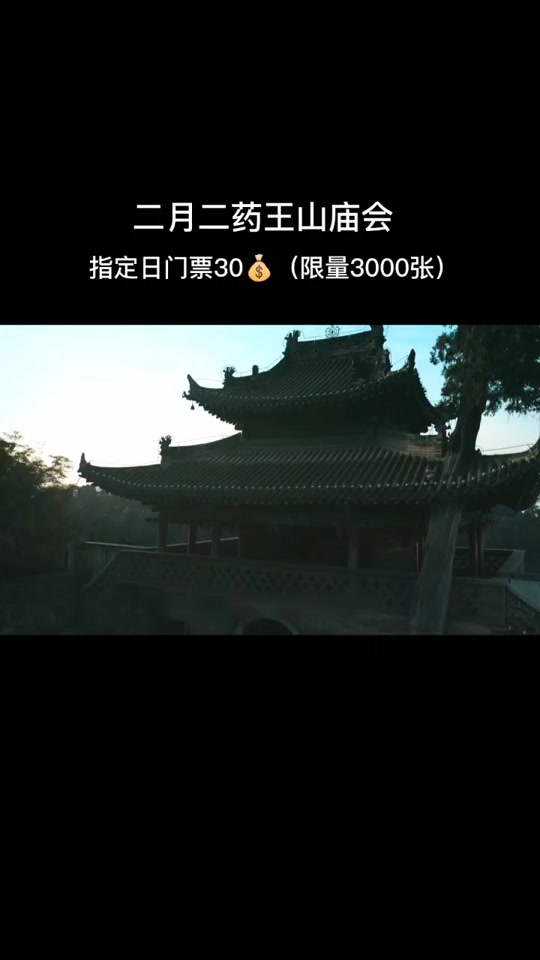 药王山庙会门票