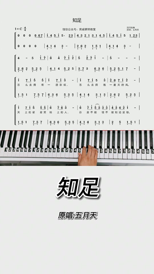 知足简谱口风琴