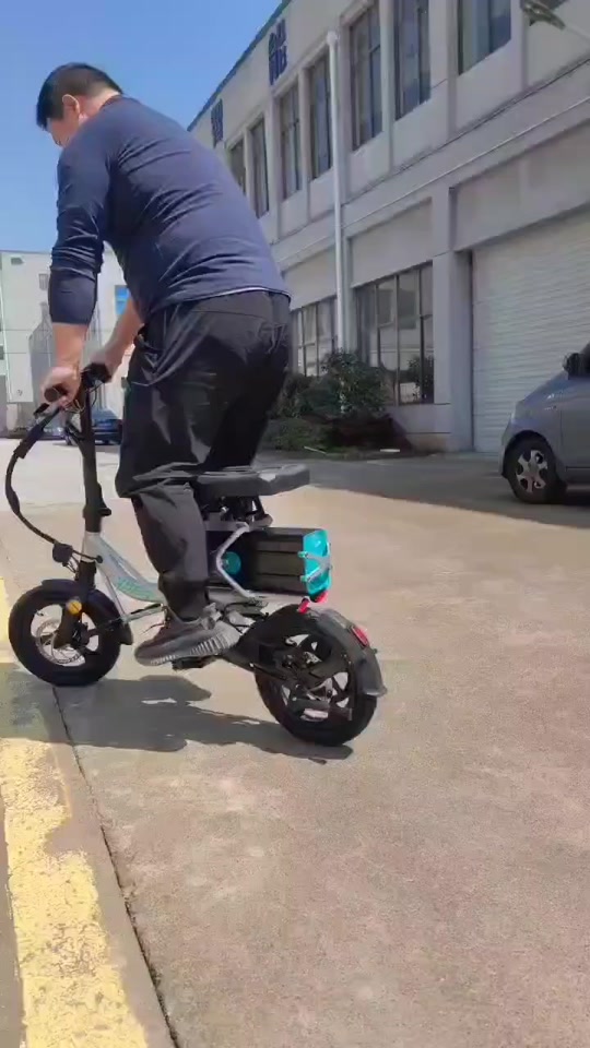 蜂鸟折叠电动车2023新品 - 抖音