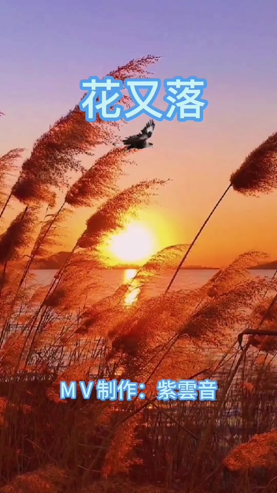 花又落动态伴奏_花又落伴奏带_花开花落音乐伴奏 - 抖音