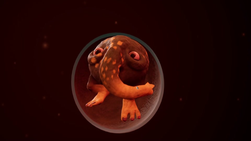 宇宙小毛球 - 抖音