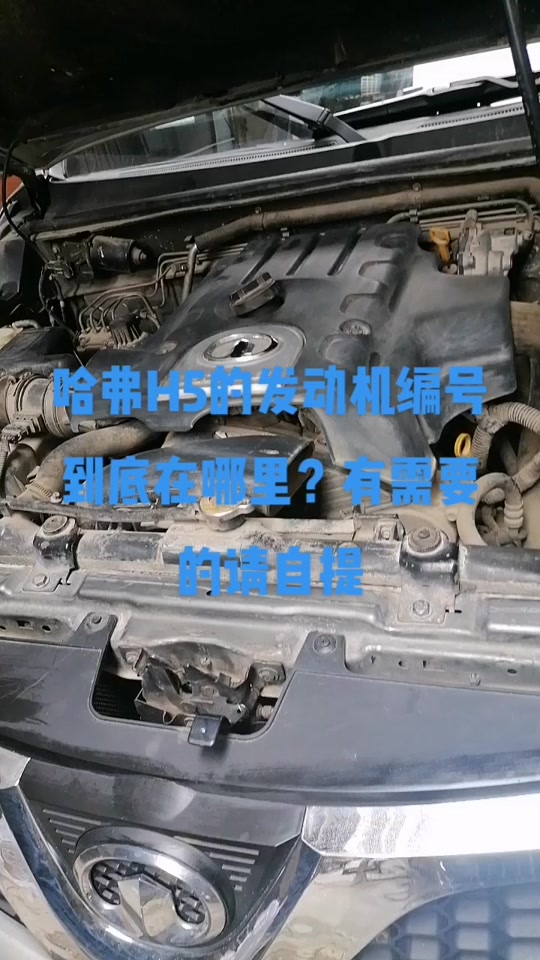 2024年长城汽车发动机号在哪 - 抖音