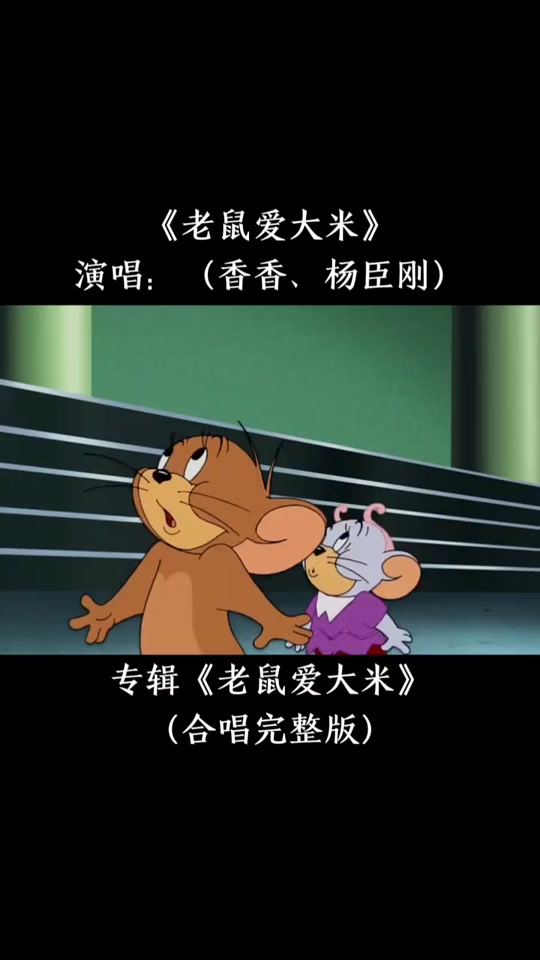 老鼠爱大米mv讲述什么