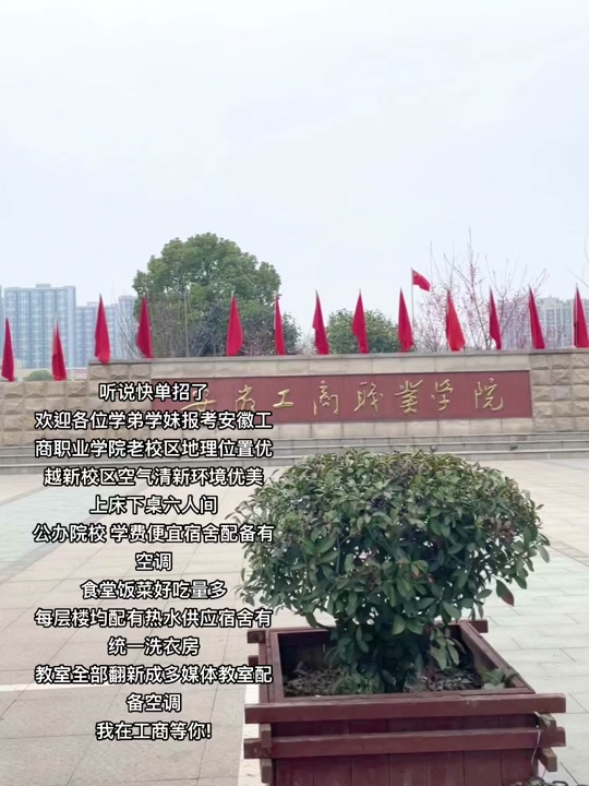 2024安徽工商职业学院在哪考试 - 抖音