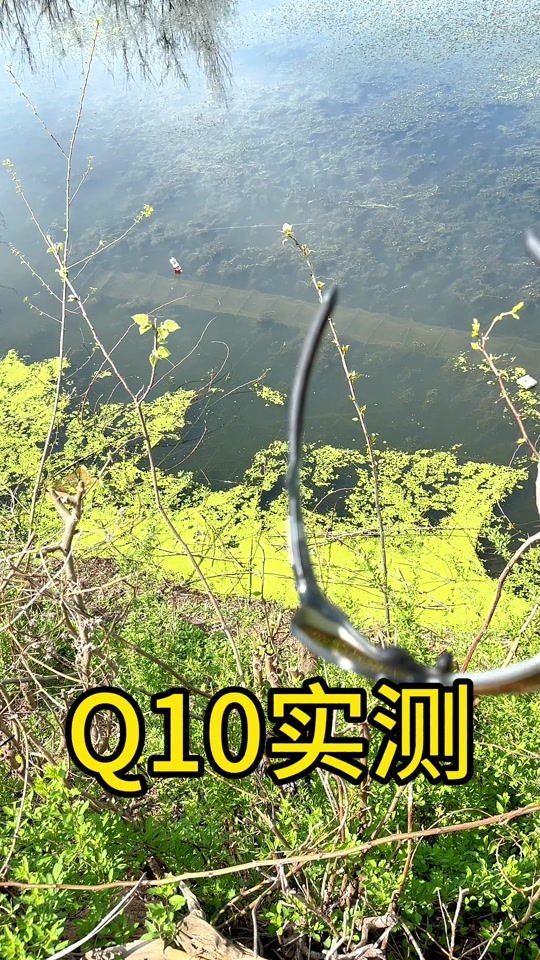 为什么偏光镜能看到鱼呢为什么在线