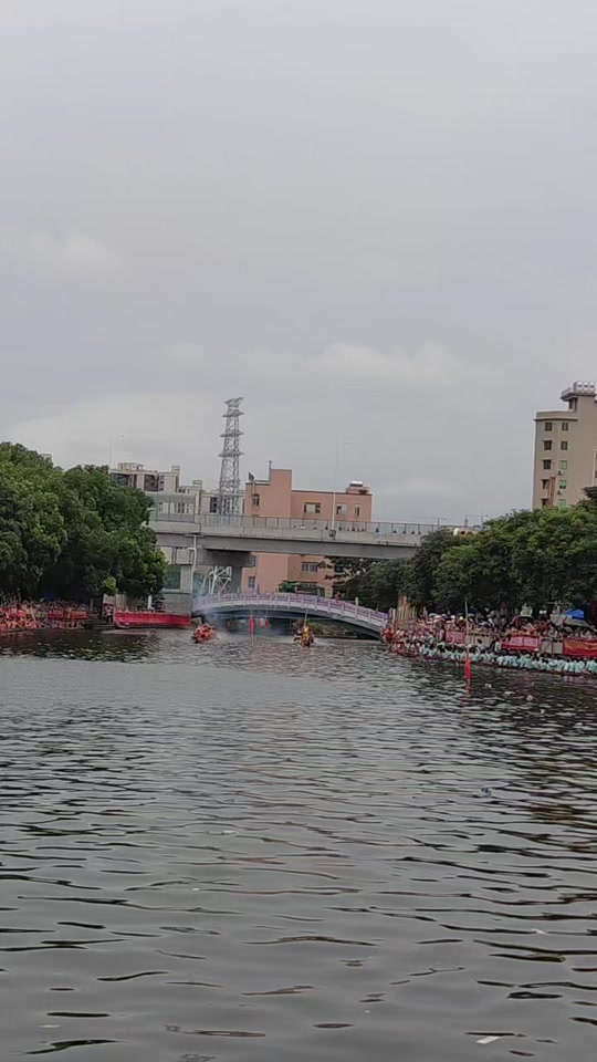 黄岐锦龙盛会 - 抖音