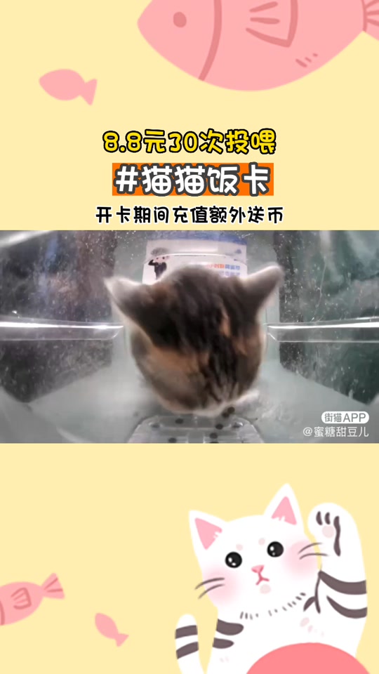猫猫币活动要收费吗 - 抖音