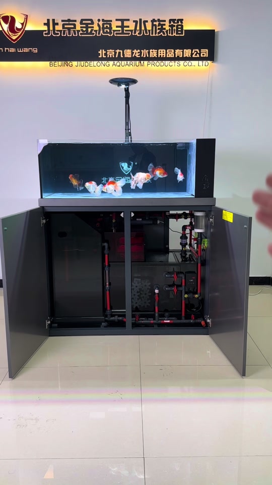 透明马桶水箱养鱼