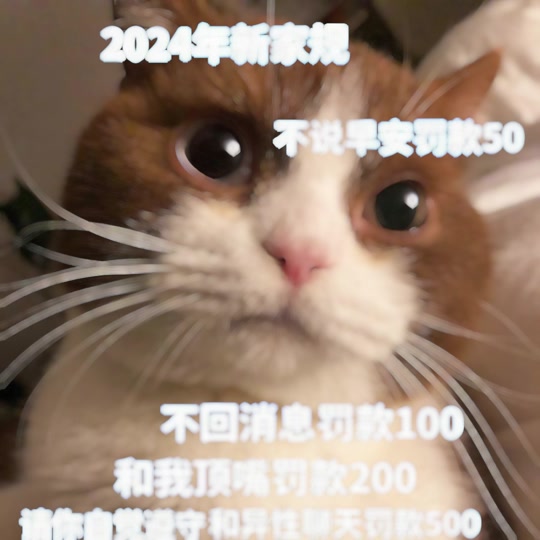2024年微信表情包有不收费规定吗 - 抖音