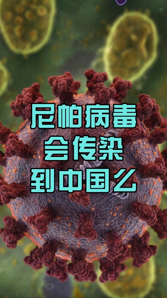  近期什么病毒传到中国了(近期病毒叫什么名字)