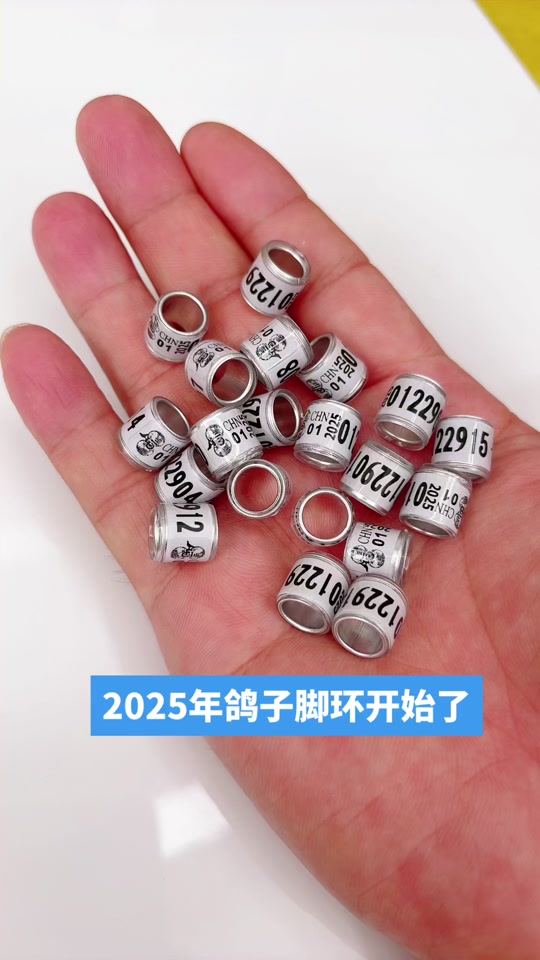 2025年全国比赛统一信鸽足环