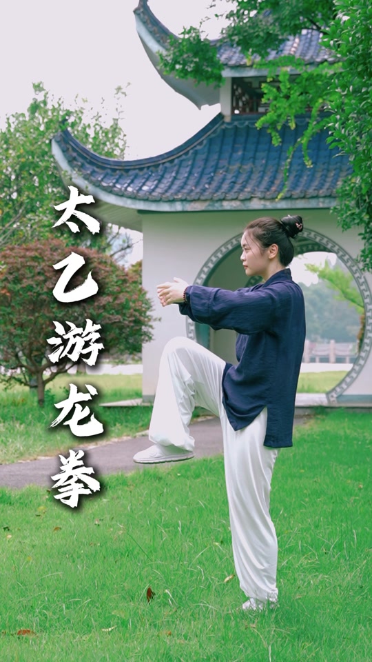 李丹游龙拳教学