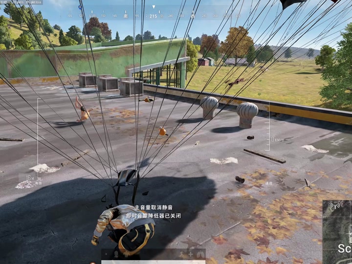 吃鸡落地大菠萝