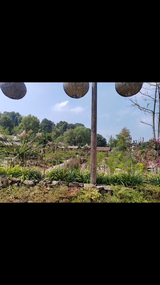 紫薇小镇的风景