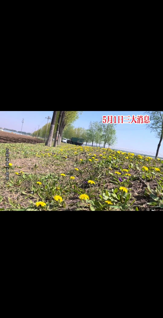 锦州黑山5月8日来领导了吗 - 抖音