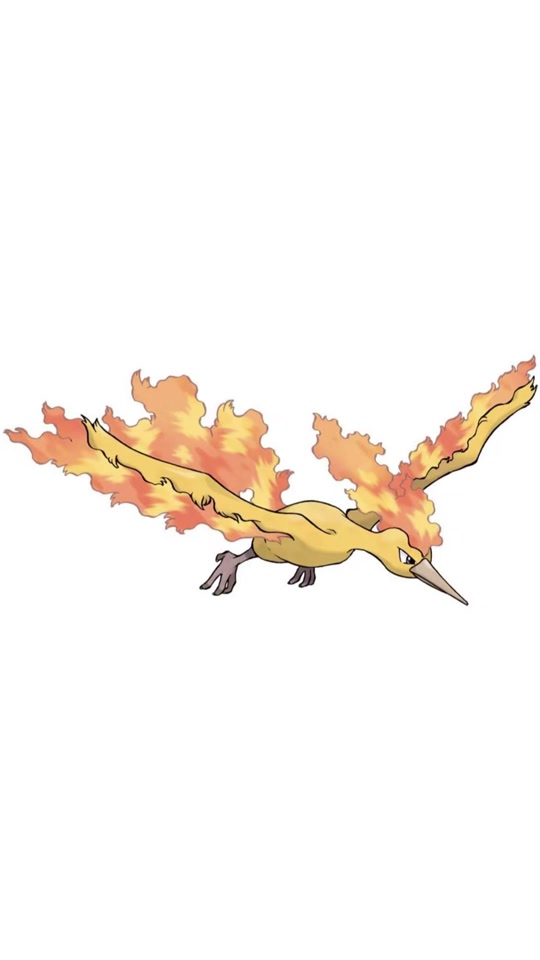 闪光火焰鸟