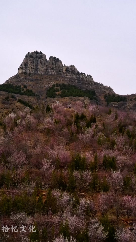 青州上稍村桃花山攻略