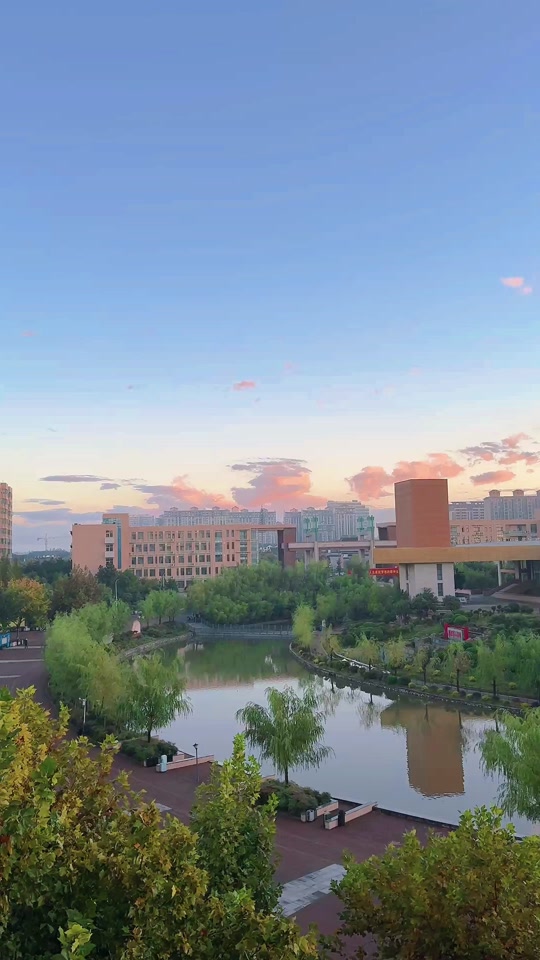 镇平一高是哪个省