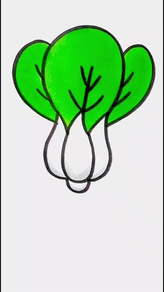 小青菜简笔画