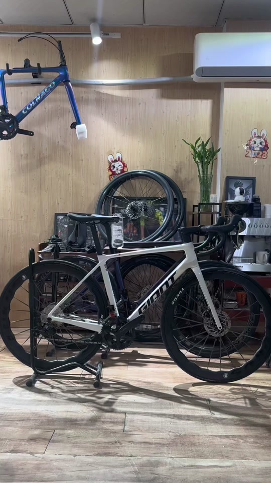 捷安特pp slr2和tcr对比 - 抖音