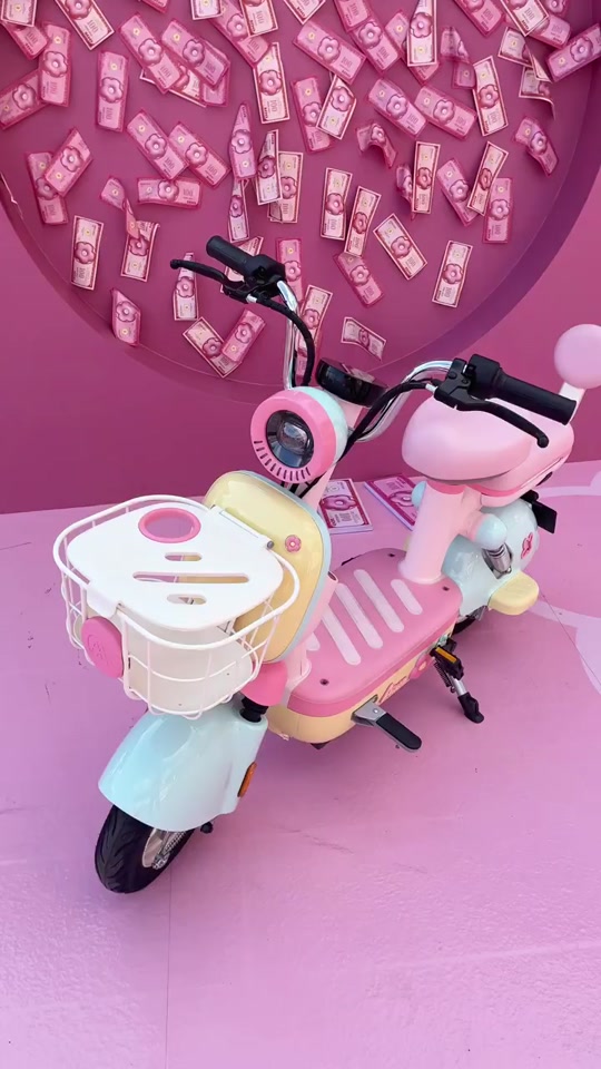 爱玛电动车花园版元宇宙pro