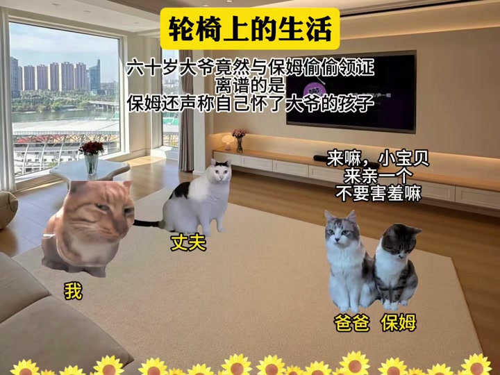 猫meme视频播放量破万，一招就够了！#科学养宠攻略 #萌宠出道计划 #动物的迷惑行为 #神奇动物在抖音 #狗狗行为心理 - 抖音