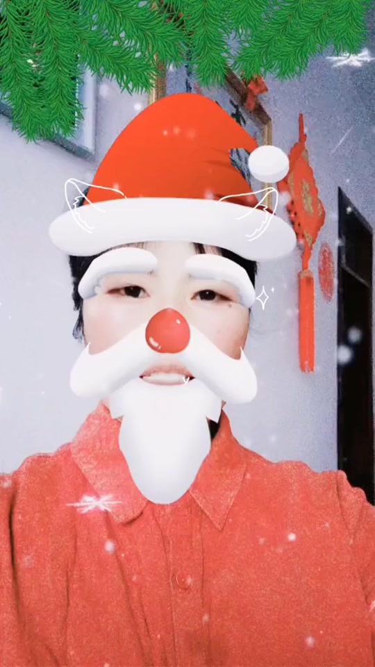 圣诞节红帽子老人表情包