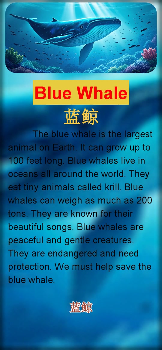蓝鲸爱丽丝绘本