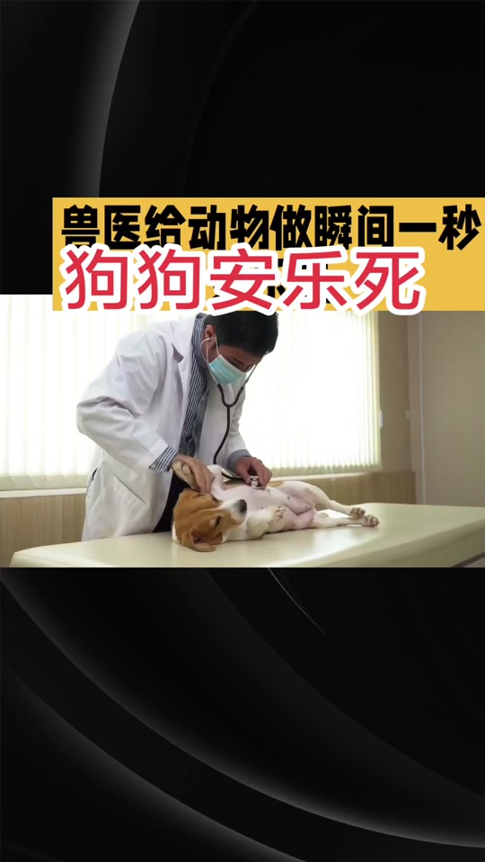 关于死了的动物怎么超度的信息