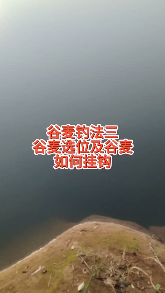 谷麦逗钓冬季怎么选位