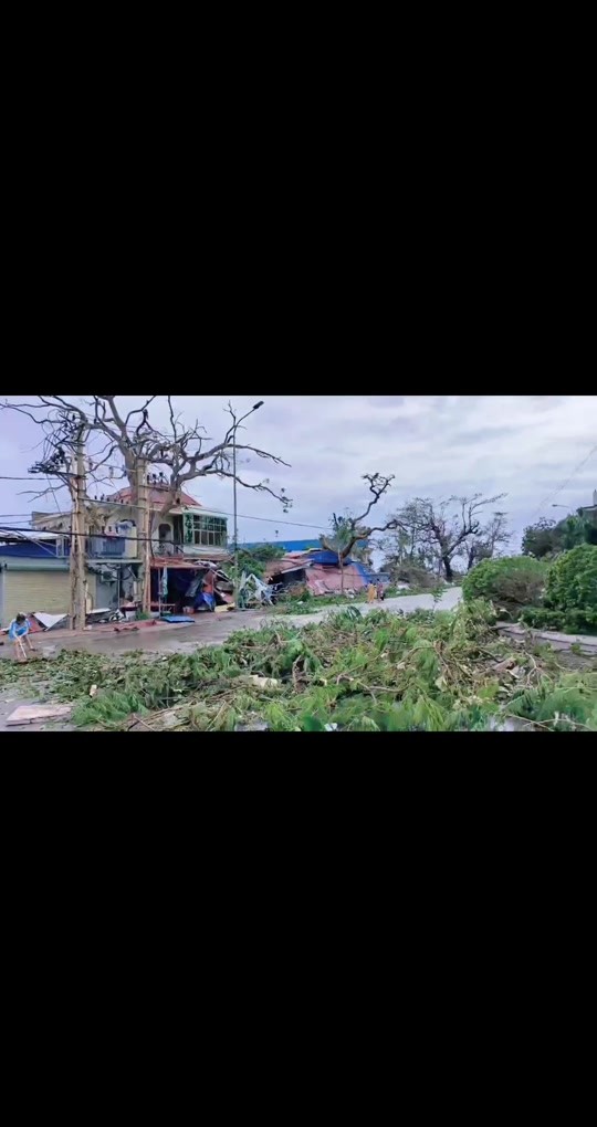 越南海防涂山花街拆了吗