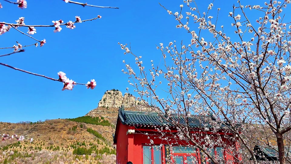 青州上稍村桃花山攻略