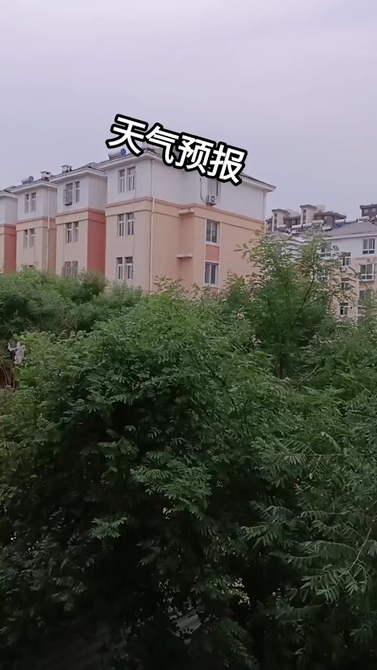 庆云天气预报 - 抖音