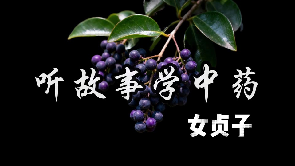 女贞子怀孕_只要胆子大贞子怀孕