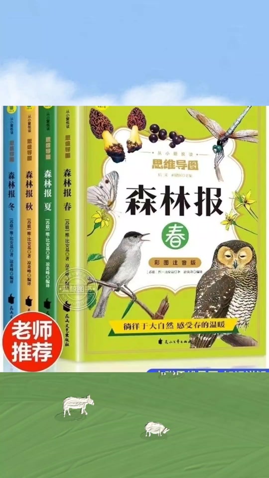 森林拼音手抄报