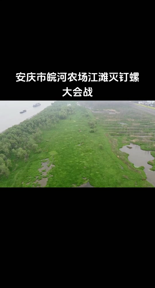 安庆皖河农场深水码头高速公路规划