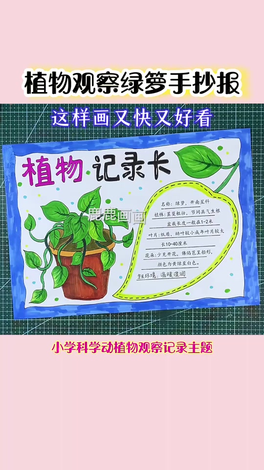 自然观察家手抄报