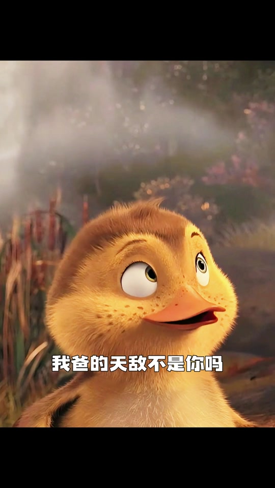 小黄毛抖音=小黄毛实力抢镜是谁