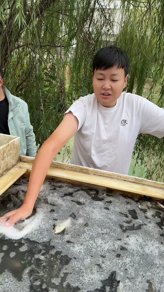 抖音菜小鱼=抖音小鱼儿资料