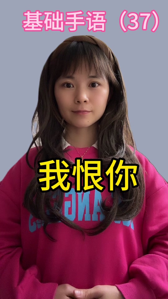 手语我恨你