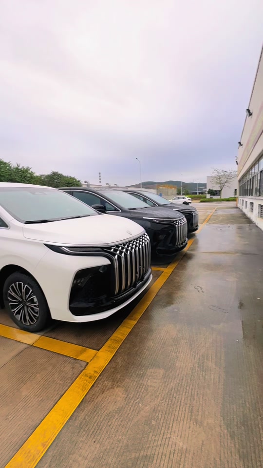 风行v9标准版 - 抖音