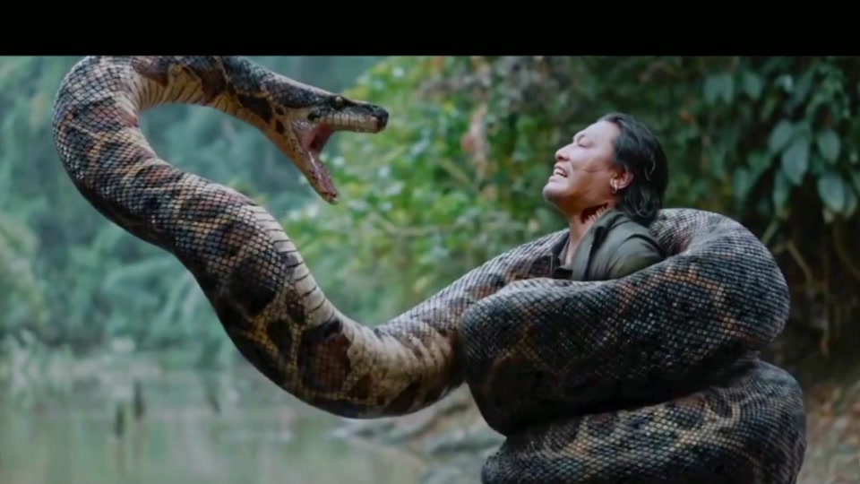 我的观影报告 #影视解说 #电影 #电影狂蟒之灾定档 #影视 2024中拱骀