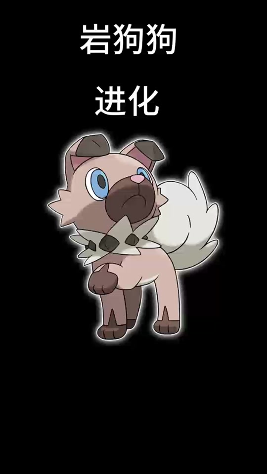 小智的岩狗狗进化成鬃岩狼人