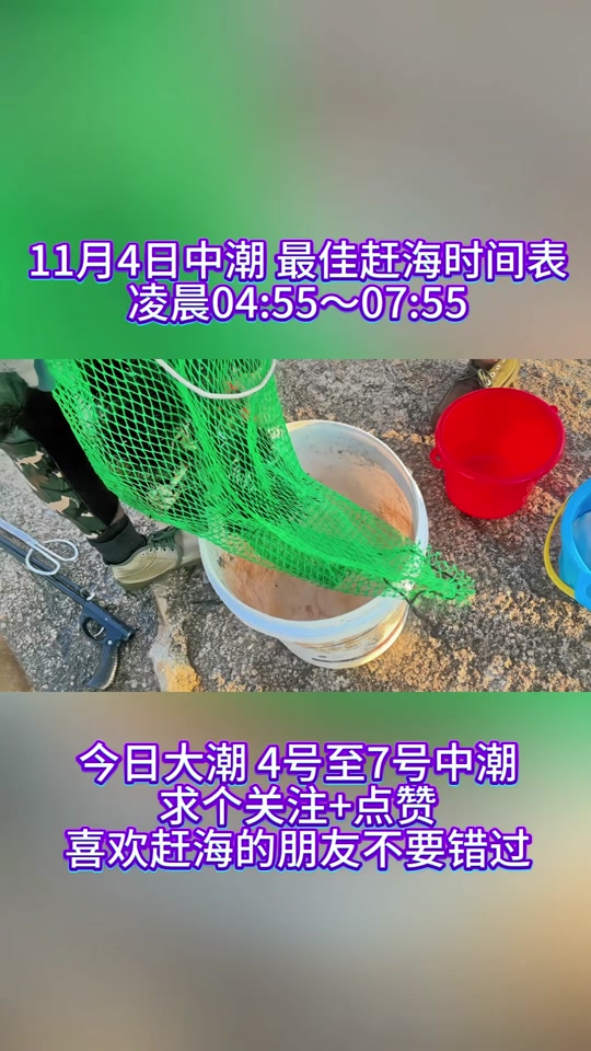 11月大鹏赶海时间和最佳赶海时间 - 抖音