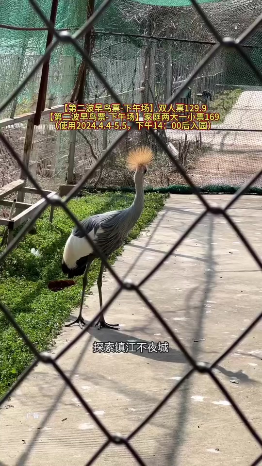 欧美梦幻假日岛3.8详细攻略