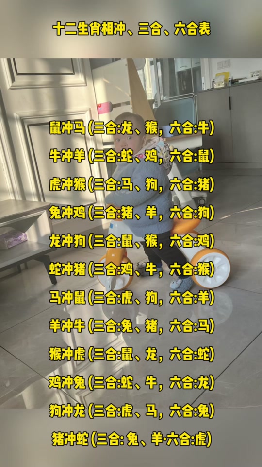 十二生肖鼠男运势(生肖鼠男2021年运势大全)