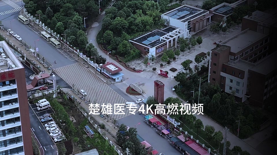 楚雄医药高等专科学校专业
