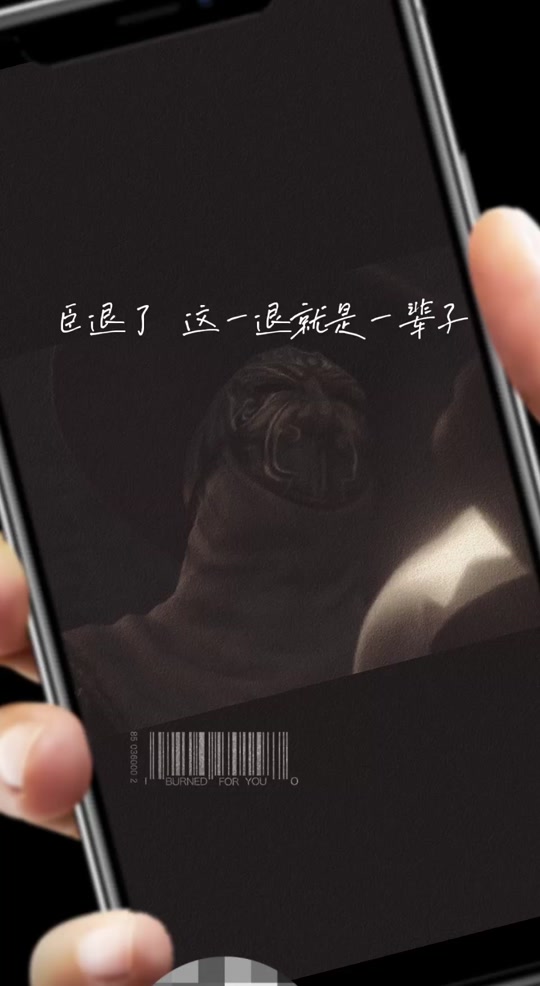 臣一退就是一辈子十宗罪 - 抖音